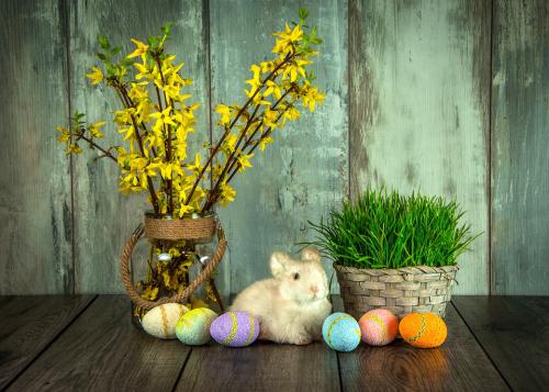 Praktikus és hasznos húsvéti meglepetések