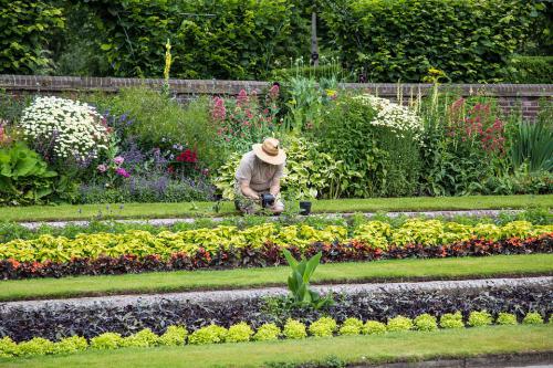 Öko-barát kertészkedési tippek - Praktikus tanácsok a környezetbarát kertészkedéshez